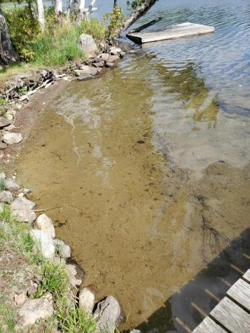 31 Swan Lane Dexter ME 04930