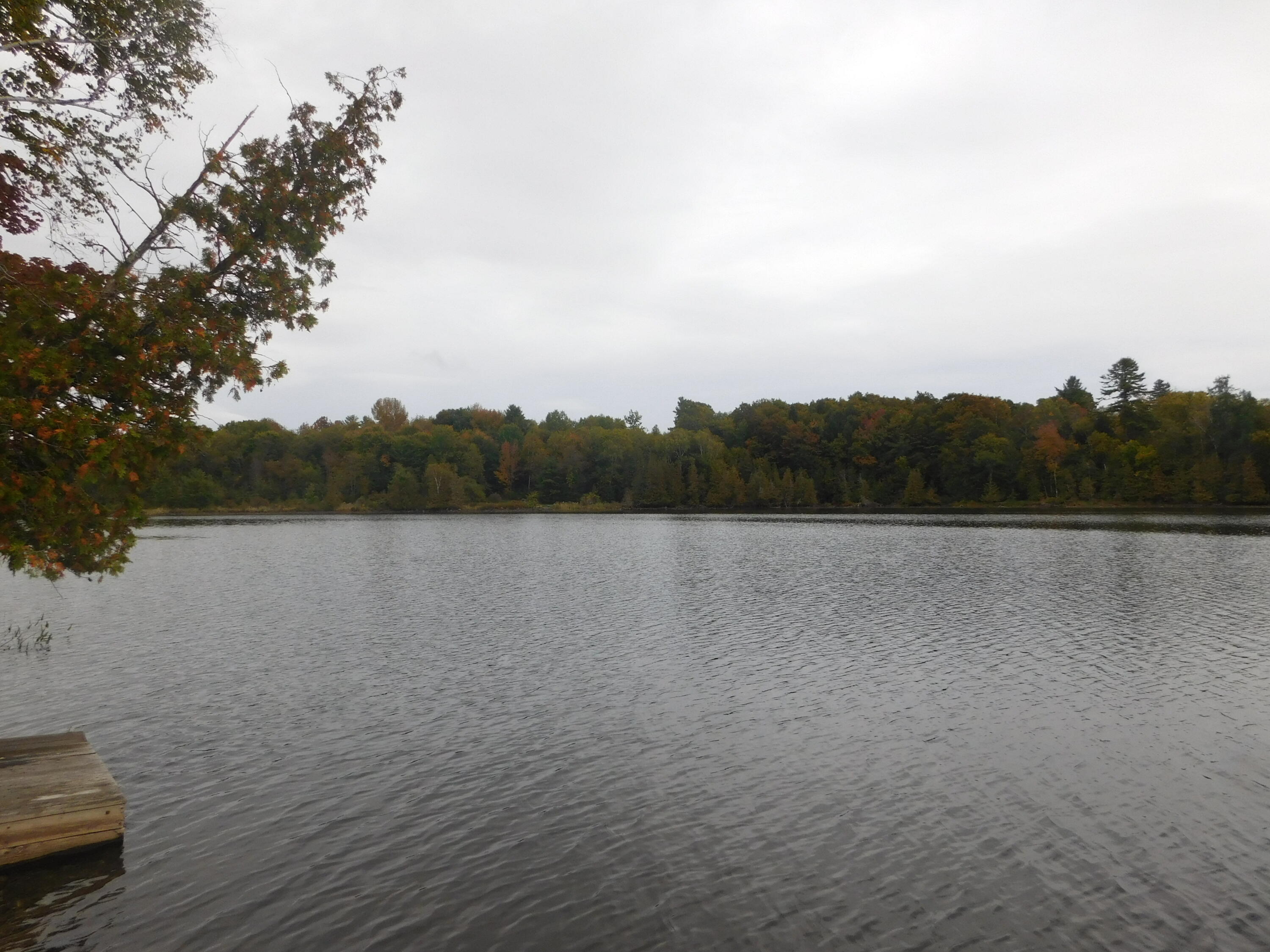 31 Swan Lane Dexter ME 04930