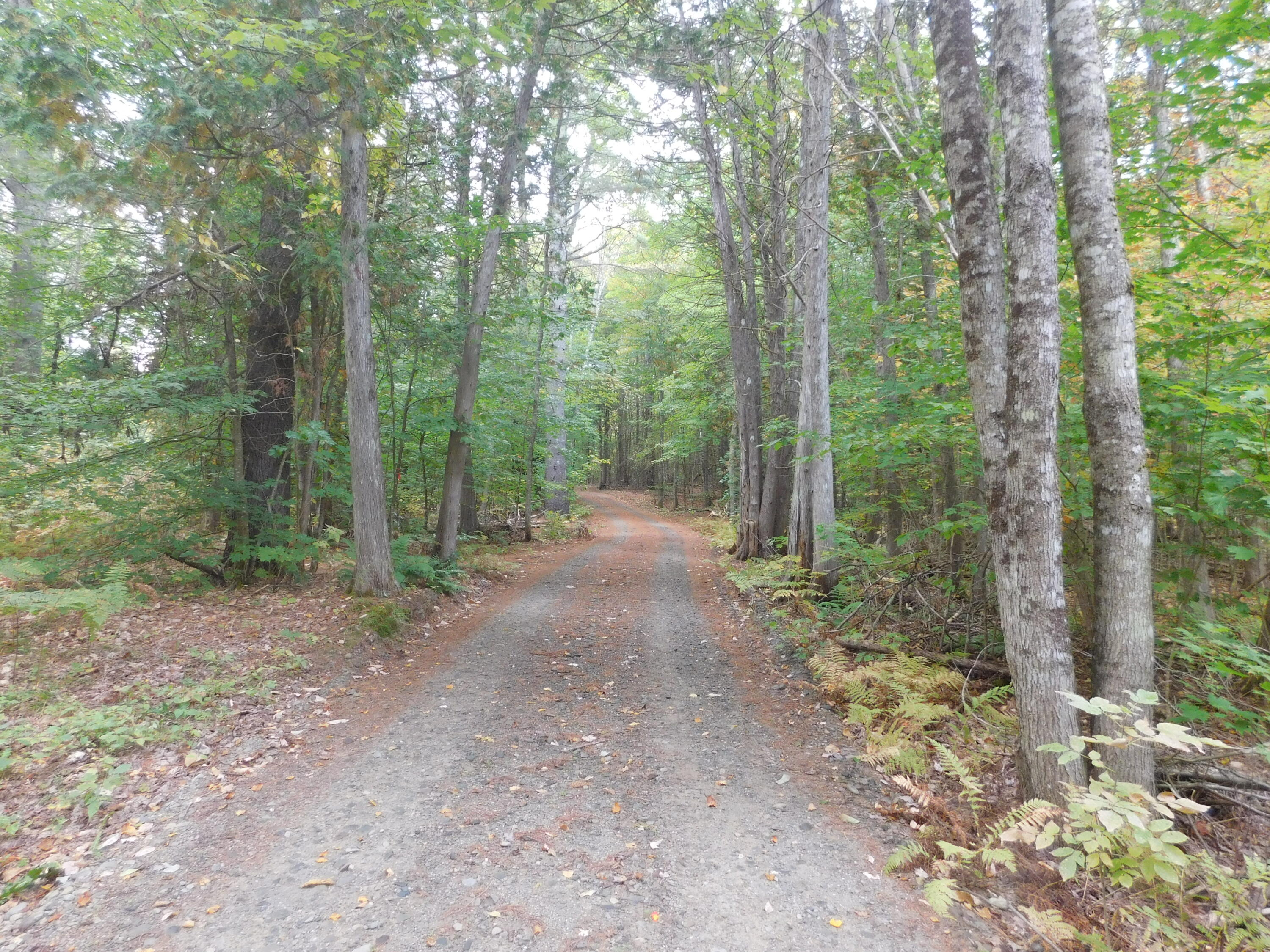 31 Swan Lane Dexter ME 04930