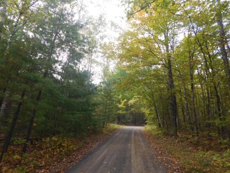 31 Swan Lane Dexter ME 04930