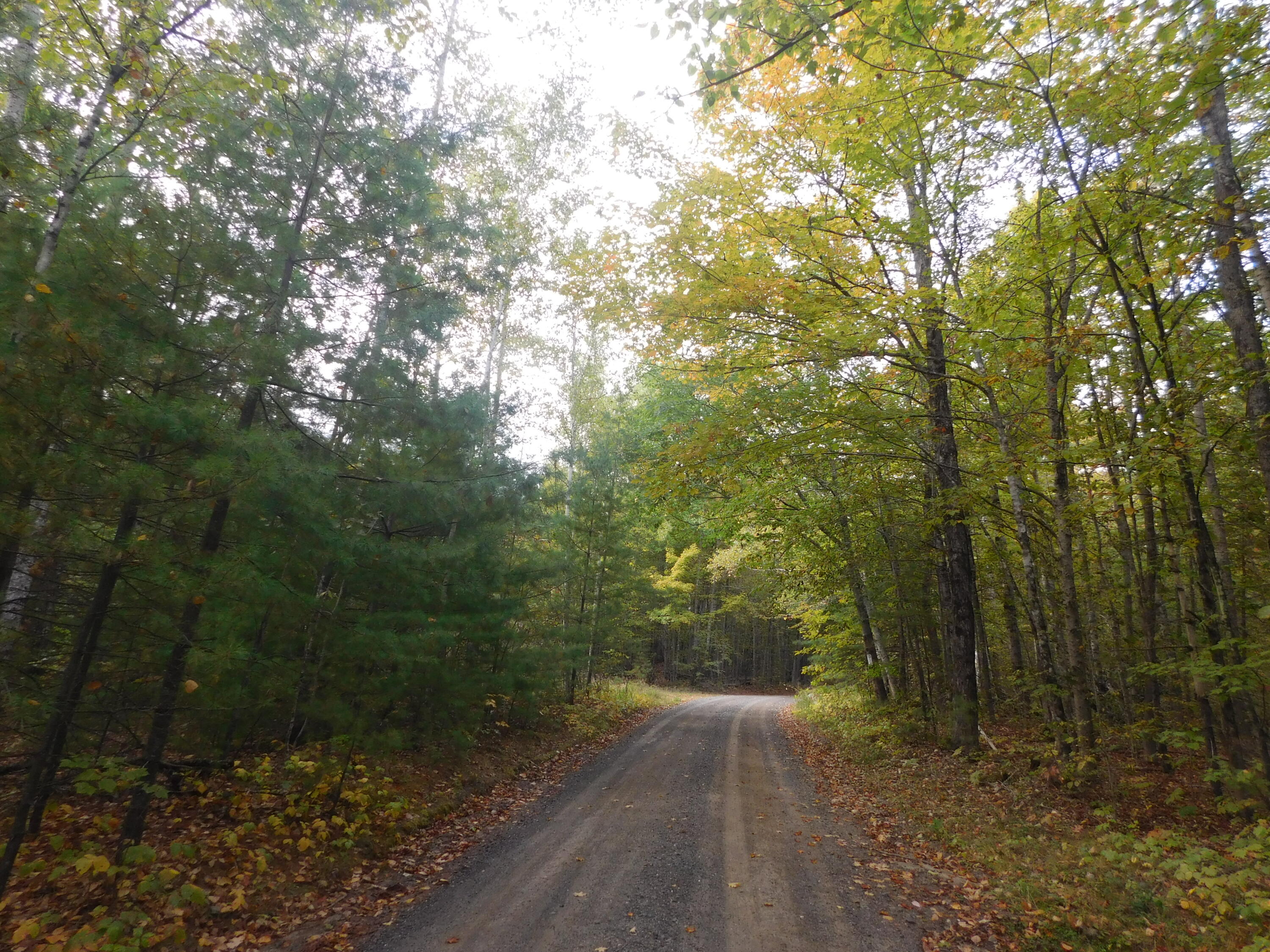 31 Swan Lane Dexter ME 04930