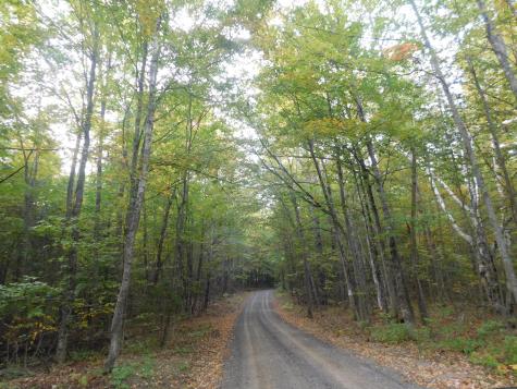 31 Swan Lane Dexter ME 04930