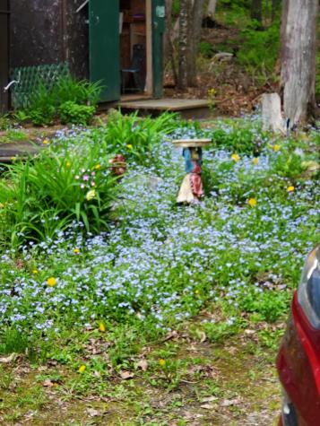 31 Swan Lane Dexter ME 04930