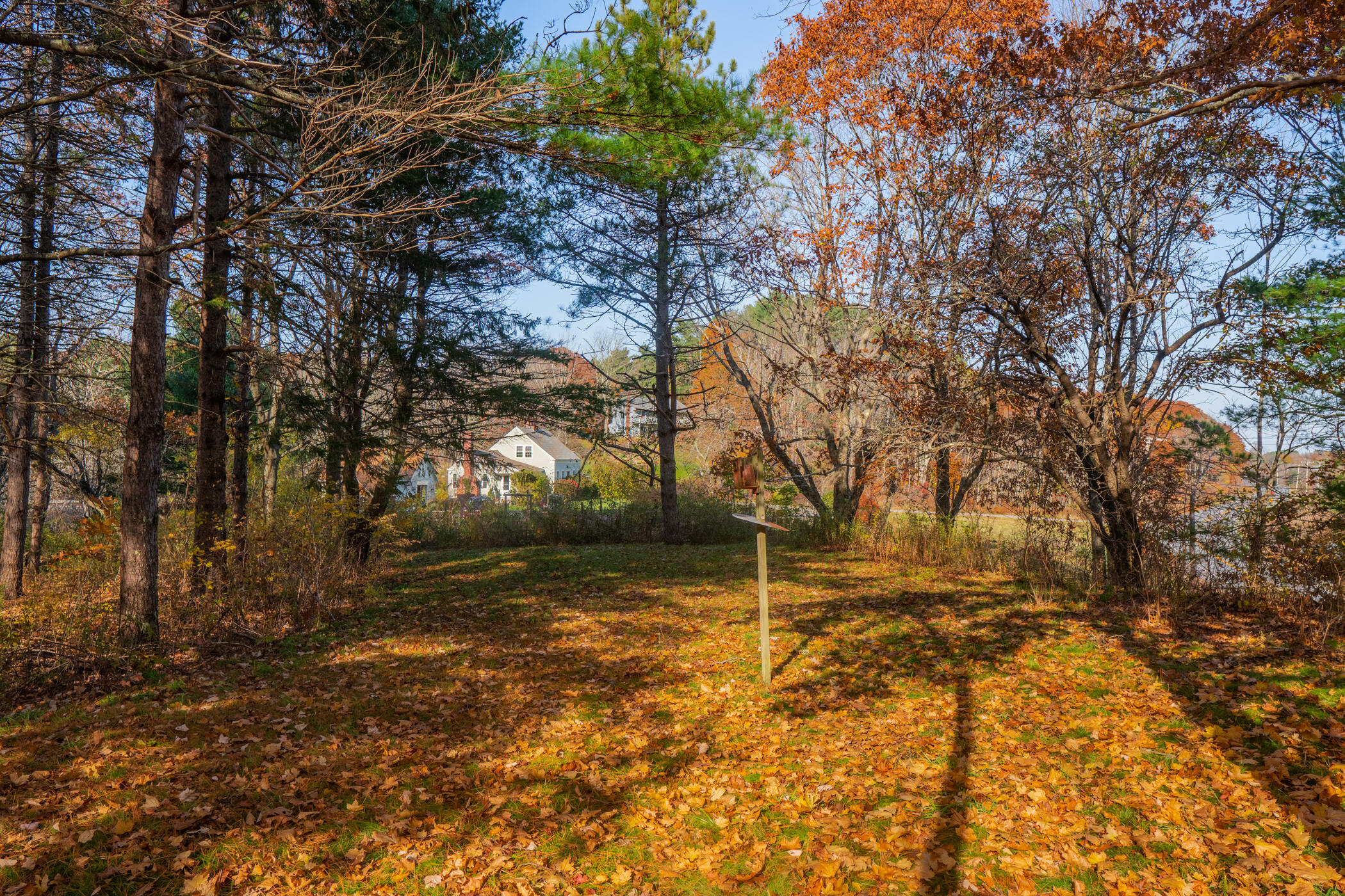 1027 Main Road Phippsburg ME 04562