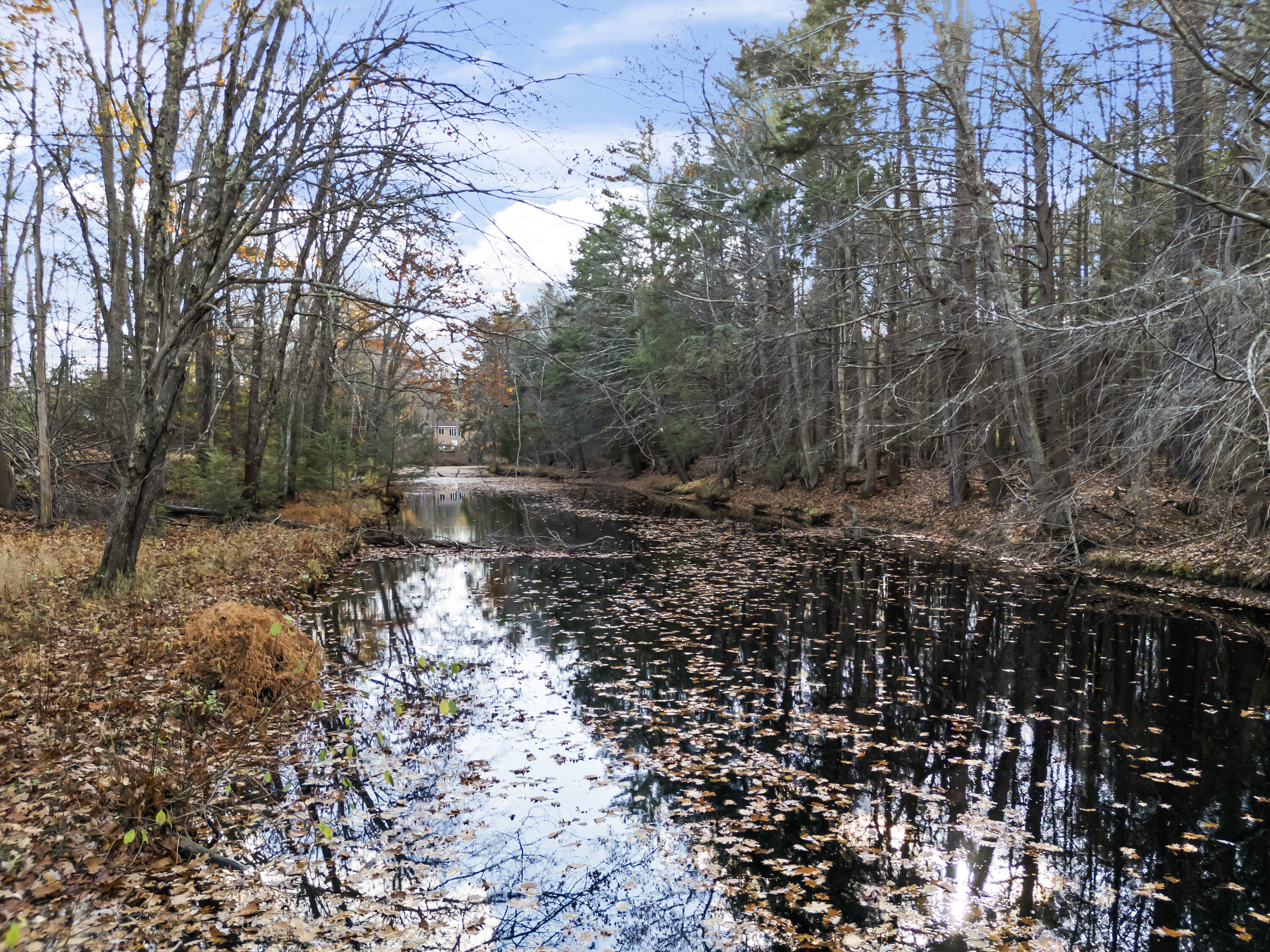 22 Adams Lane Ogunquit ME 03907