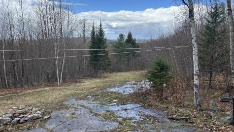 000 James Jipson Road Lowell ME 04493