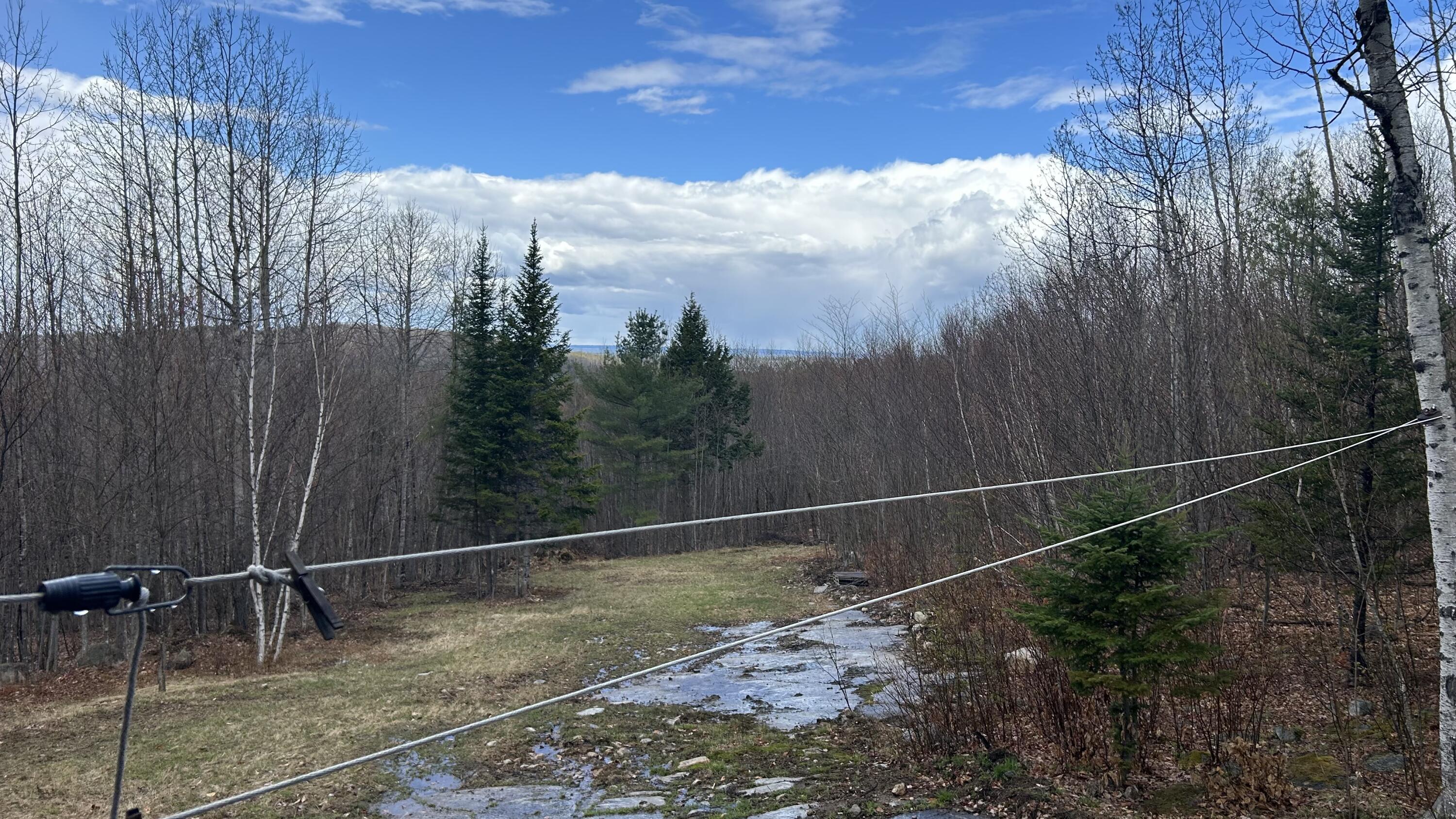 000 James Jipson Road Lowell ME 04493
