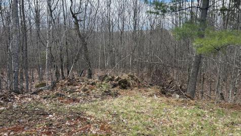 000 James Jipson Road Lowell ME 04493