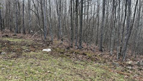 000 James Jipson Road Lowell ME 04493