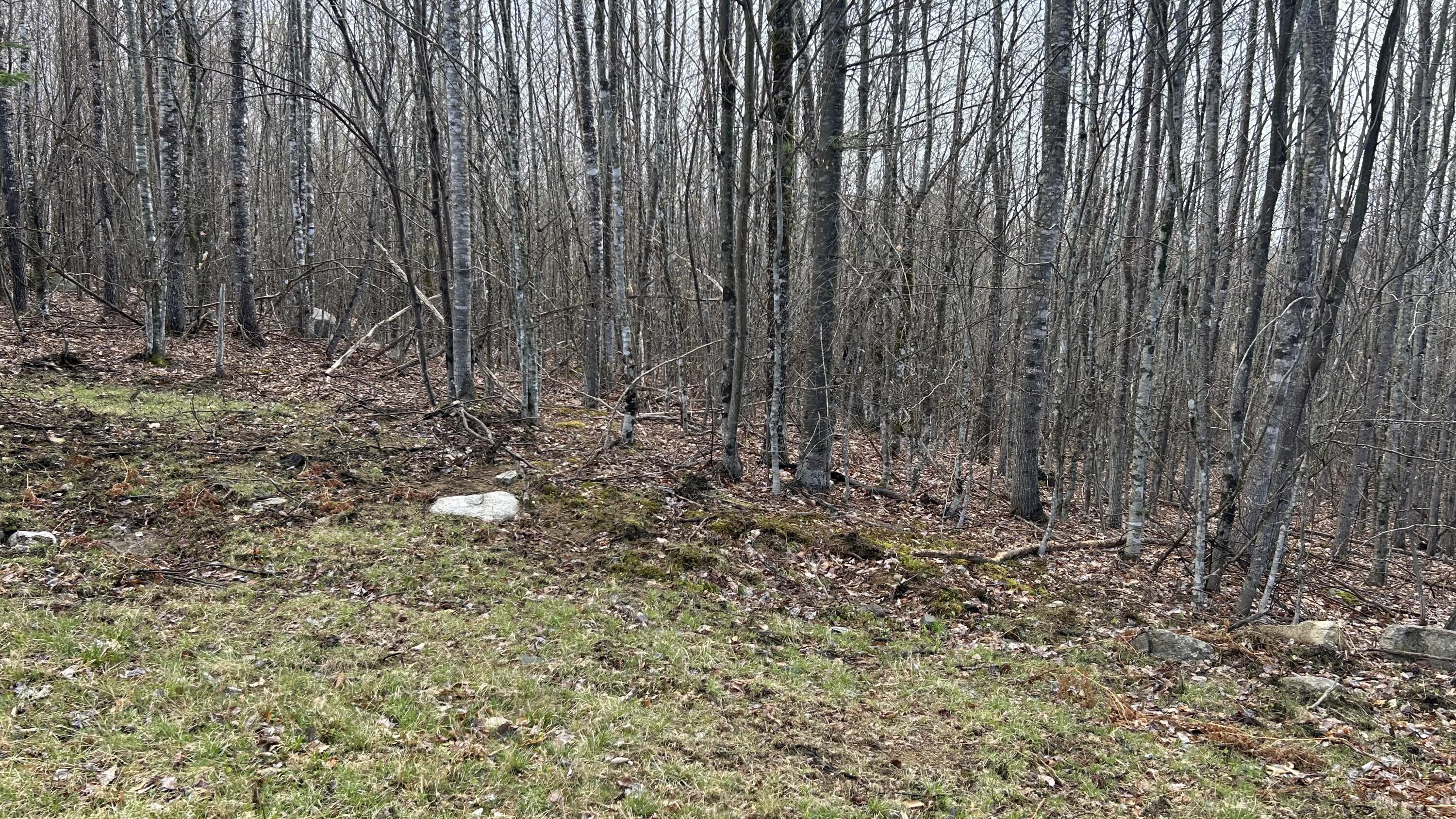 000 James Jipson Road Lowell ME 04493