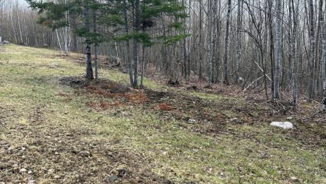 000 James Jipson Road Lowell ME 04493