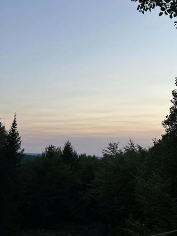 000 James Jipson Road Lowell ME 04493