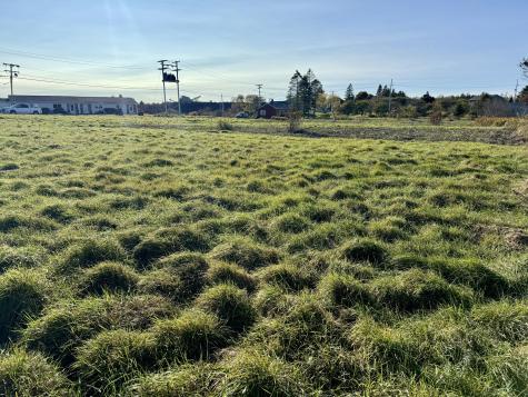 15 Barron Road Eastport ME 04631