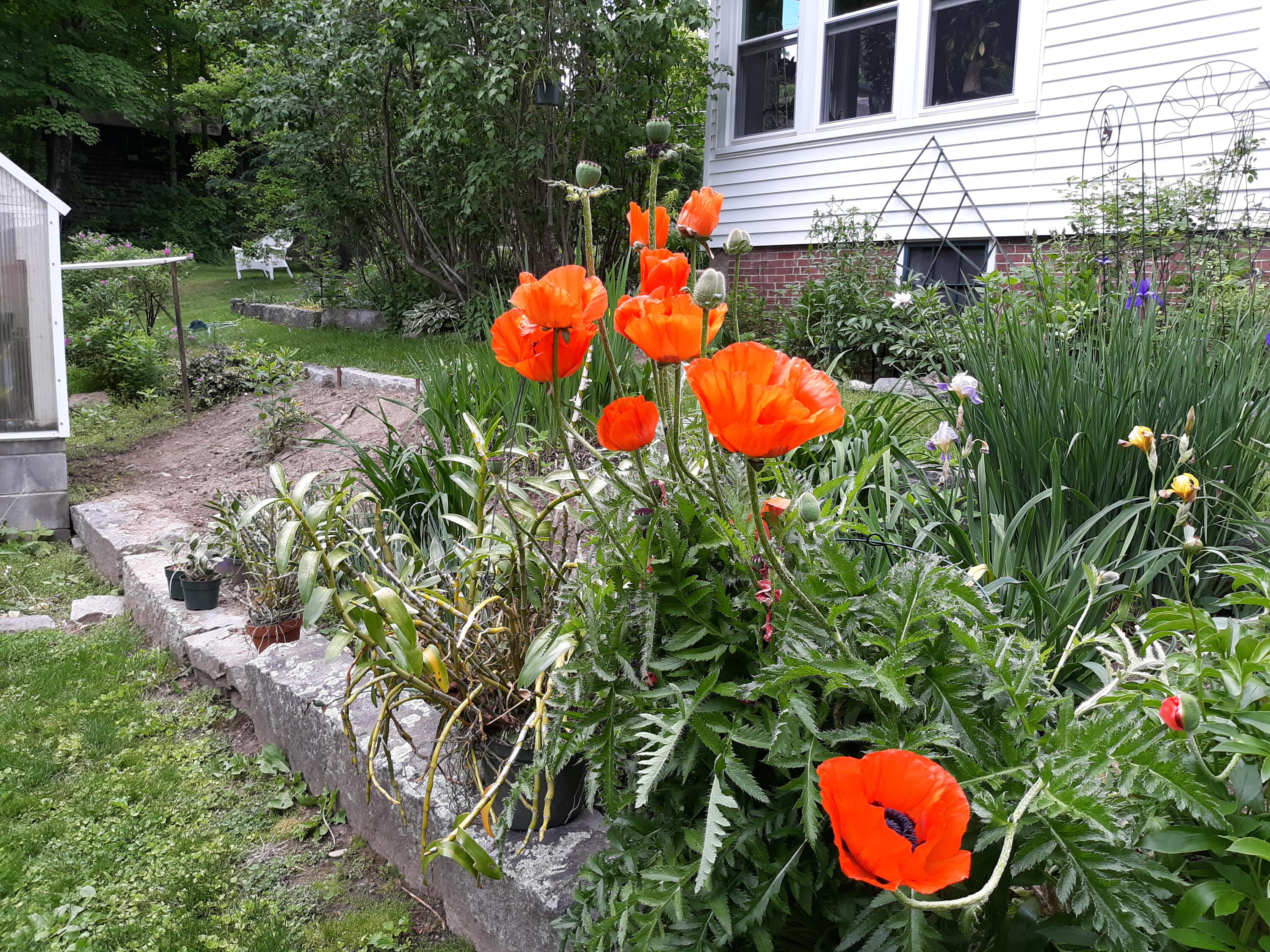 46 Maple Street Monmouth ME 04259