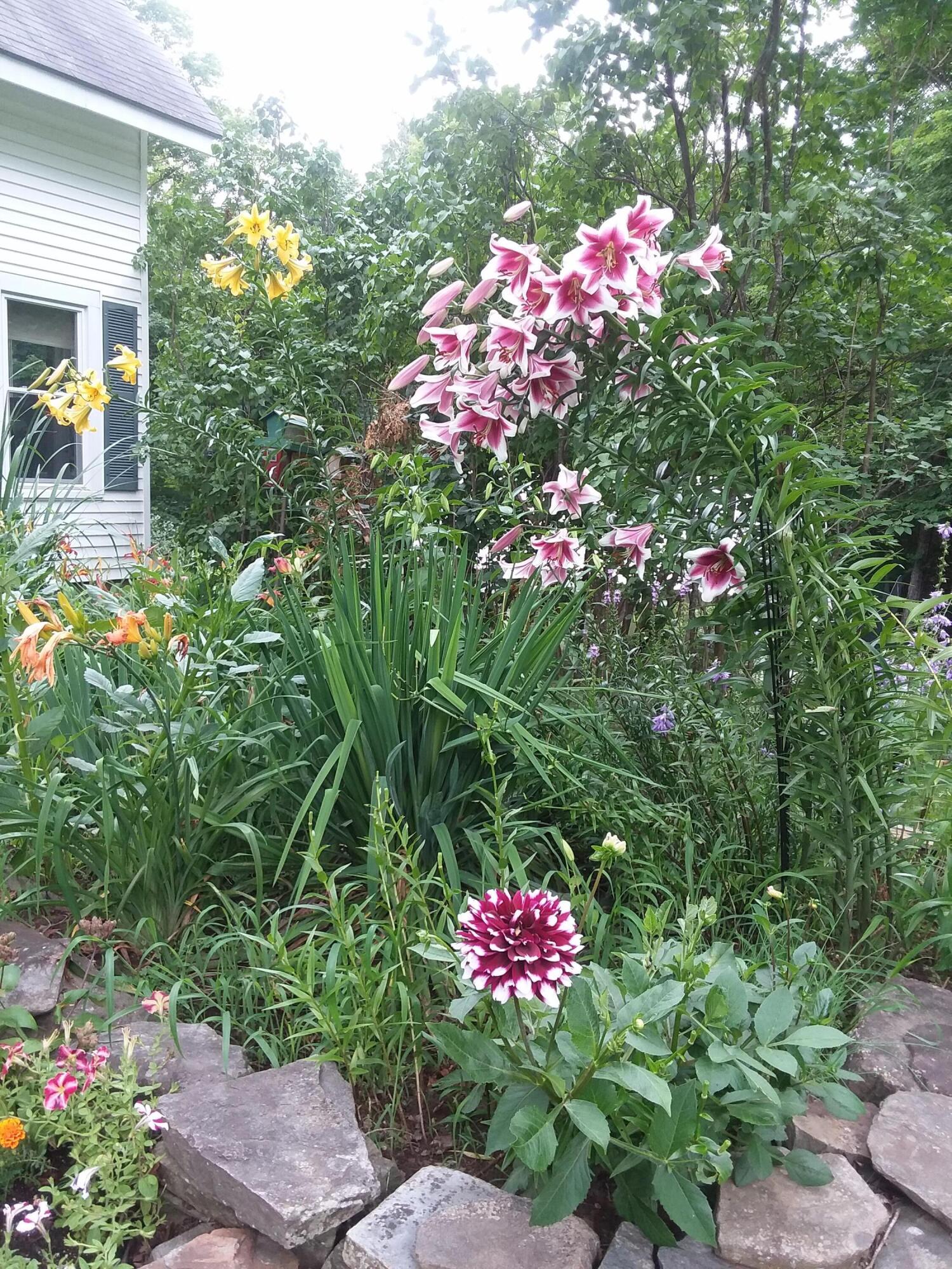 46 Maple Street Monmouth ME 04259