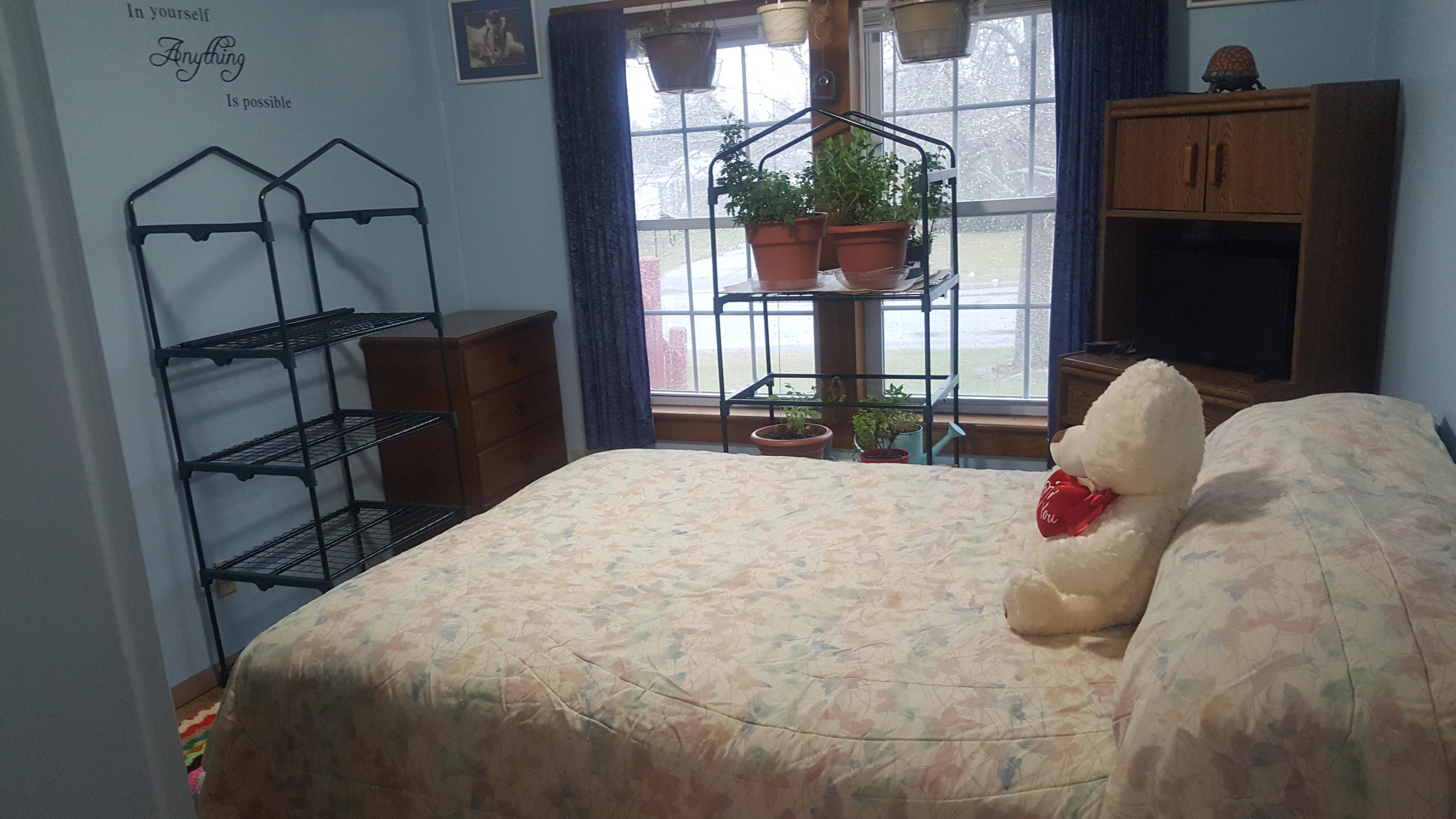41 Shepherd Drive Bangor ME 04401