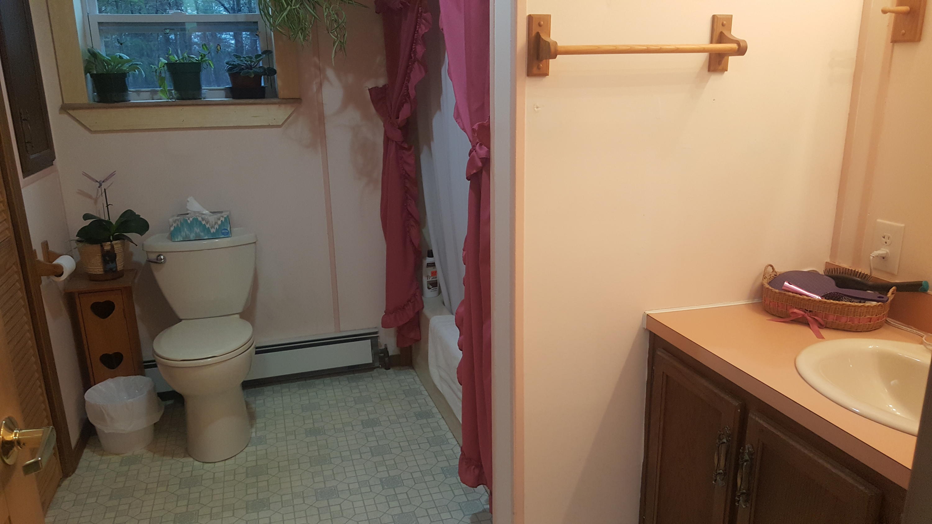 41 Shepherd Drive Bangor ME 04401
