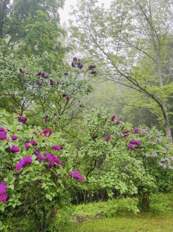 565 Mosher Hill Road Farmington ME 04938