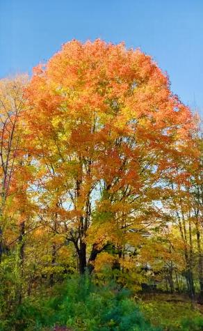 565 Mosher Hill Road Farmington ME 04938