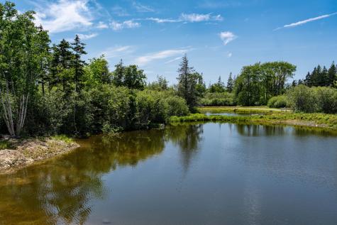 197 N Shore Road North Haven ME 04853