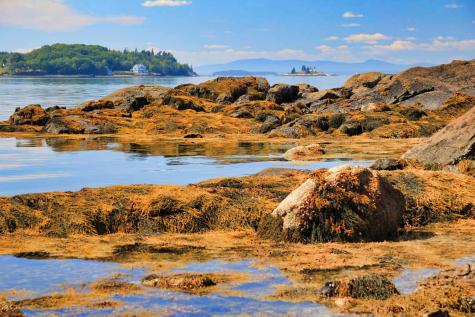 435 Herrick Road Brooksville ME 04617