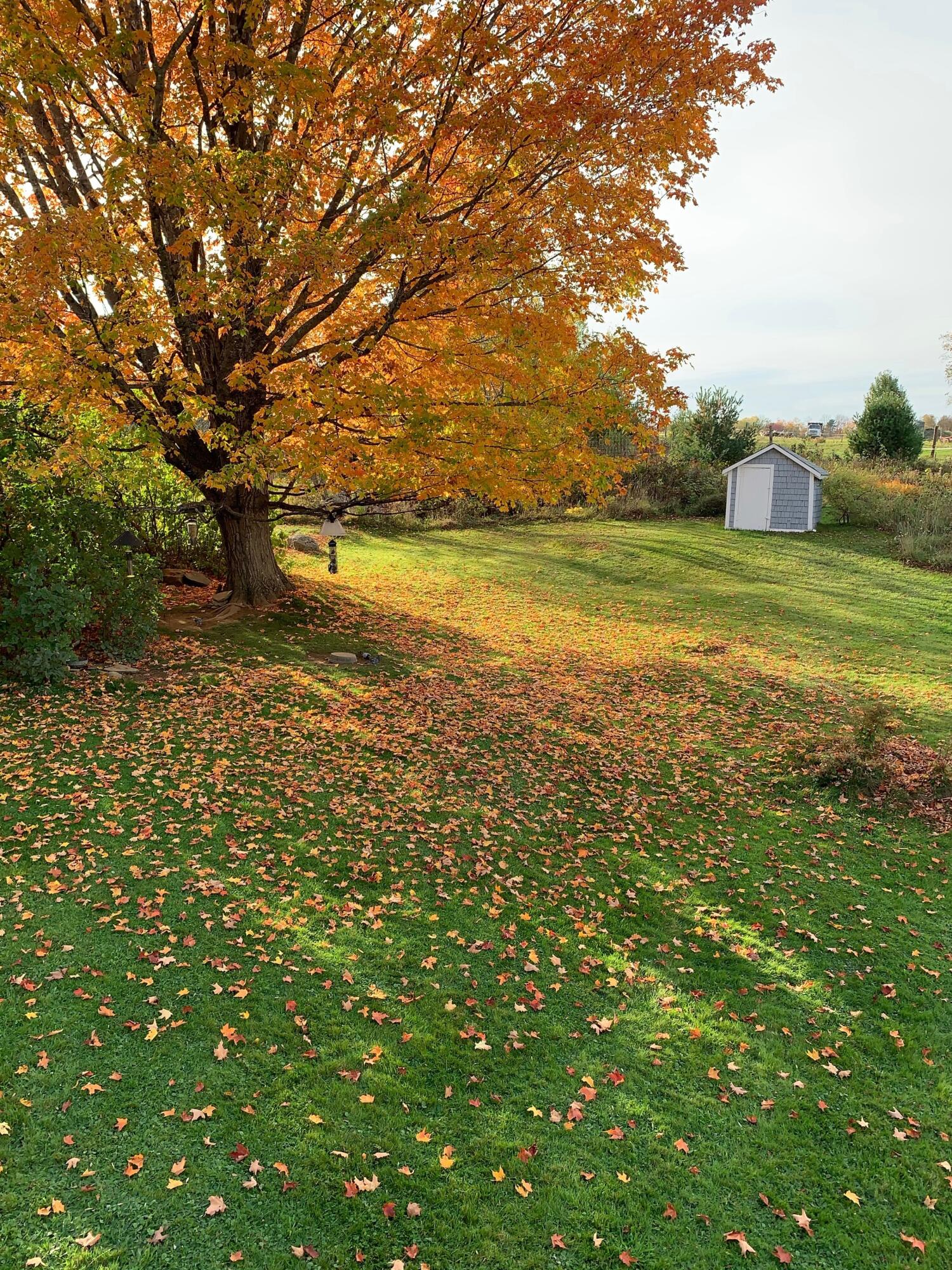 1261 Dexter Road Dover-foxcroft ME 04426