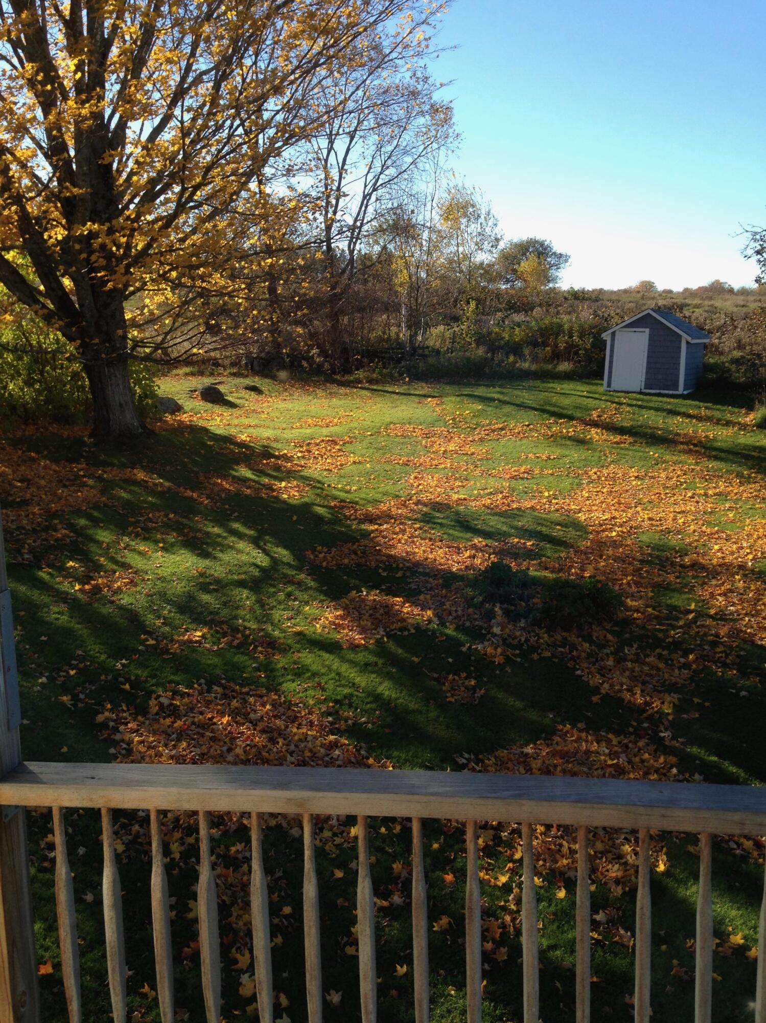 1261 Dexter Road Dover-foxcroft ME 04426