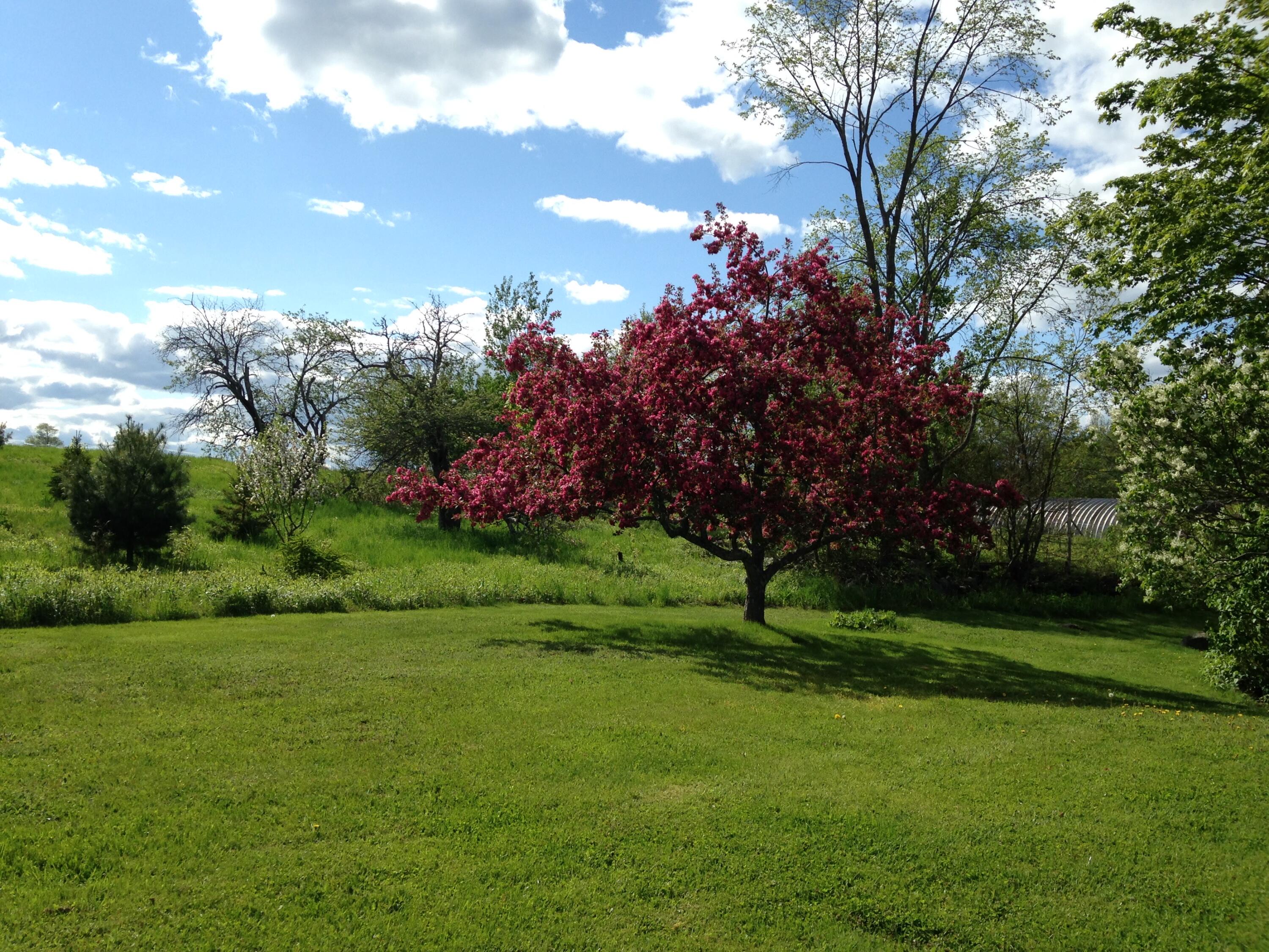 1261 Dexter Road Dover-foxcroft ME 04426