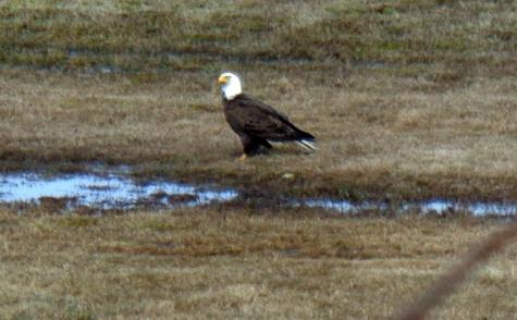 163 Middle Road North Haven ME 04853