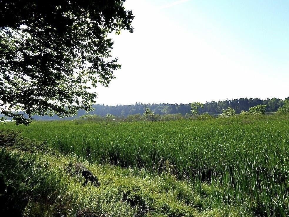 163 Middle Road North Haven ME 04853