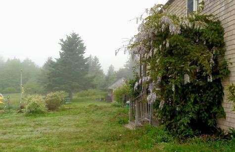 163 Middle Road North Haven ME 04853