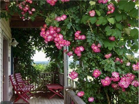 163 Middle Road North Haven ME 04853