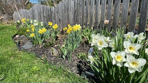 21 Pleasant Street Milo ME 04463