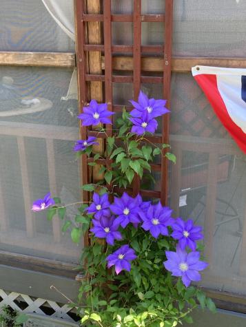 21 Pleasant Street Milo ME 04463