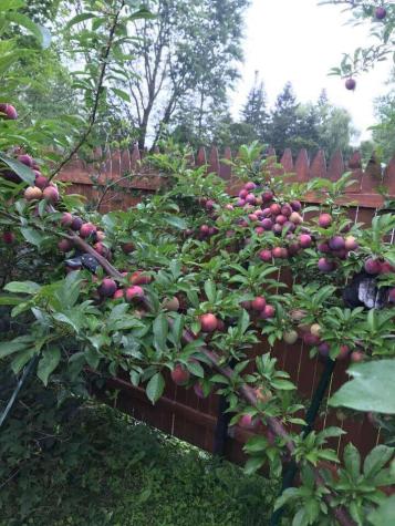 784 Essex Street Bangor ME 04401