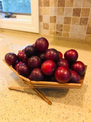 784 Essex Street Bangor ME 04401