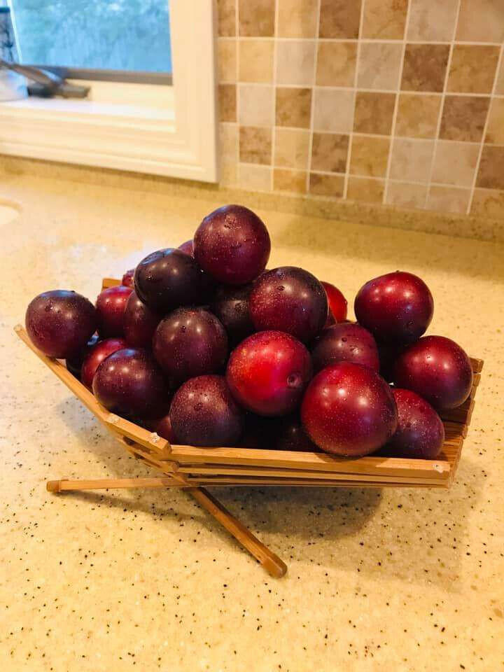 784 Essex Street Bangor ME 04401