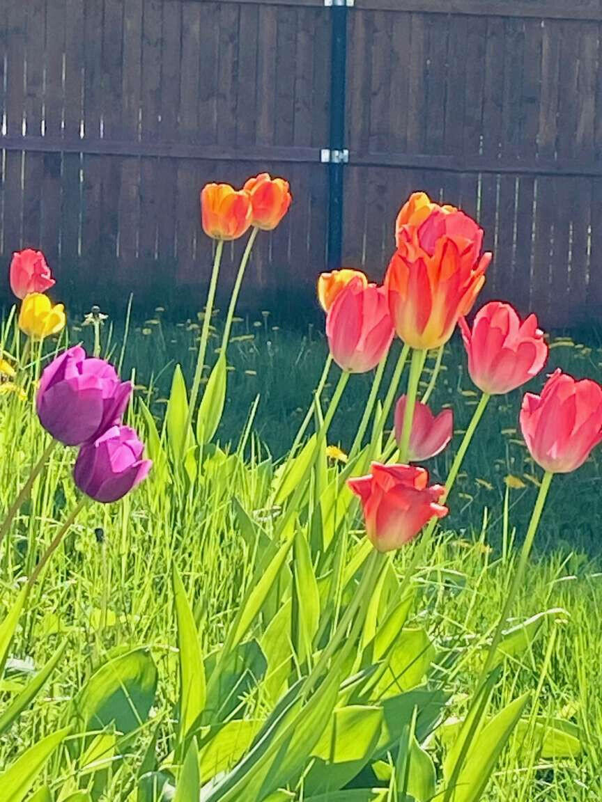 784 Essex Street Bangor ME 04401