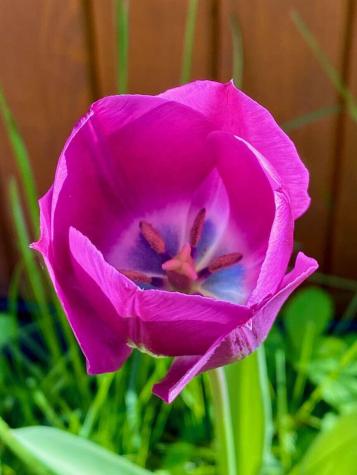 784 Essex Street Bangor ME 04401