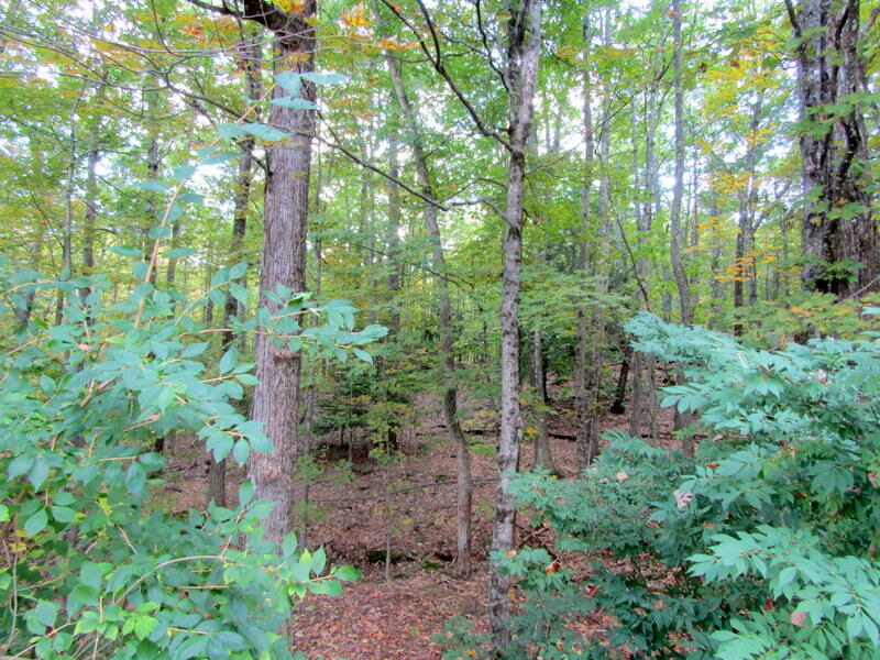 106 Cross Road Minot ME 04258