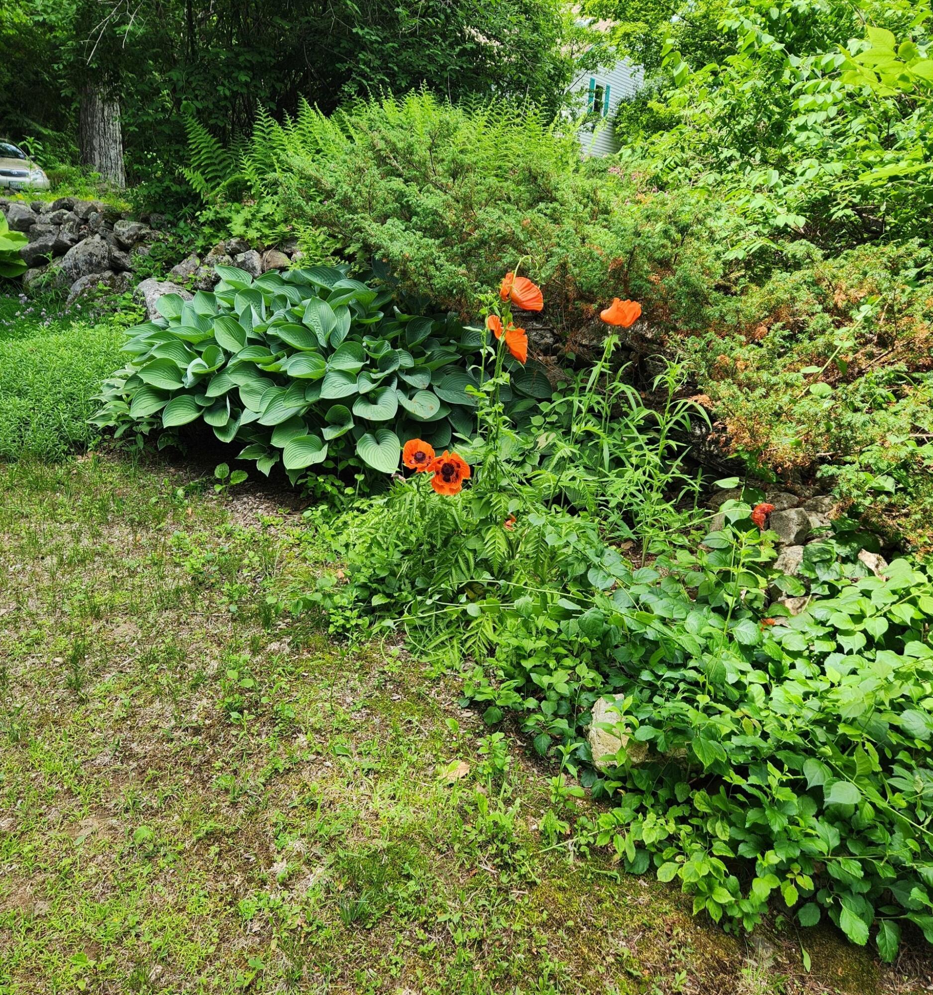 106 Cross Road Minot ME 04258