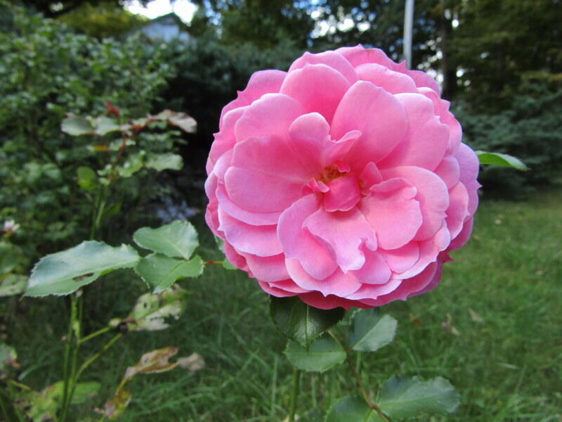 106 Cross Road Minot ME 04258