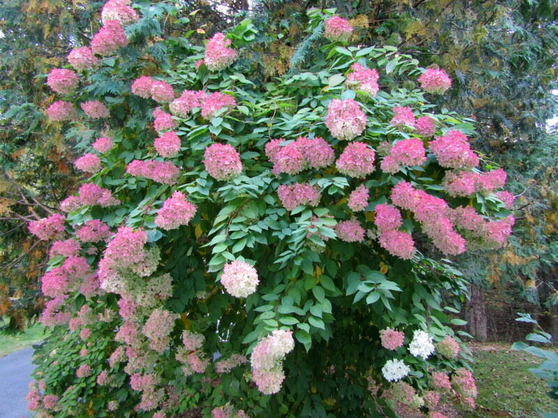 106 Cross Road Minot ME 04258