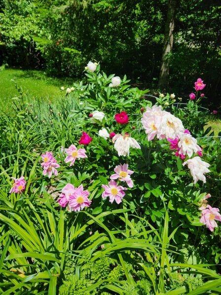 106 Cross Road Minot ME 04258