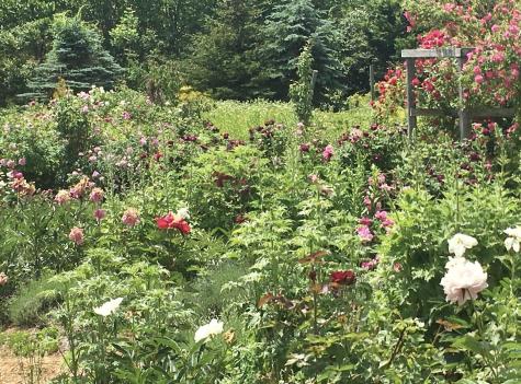 361 Waldoboro Road Friendship ME 04547