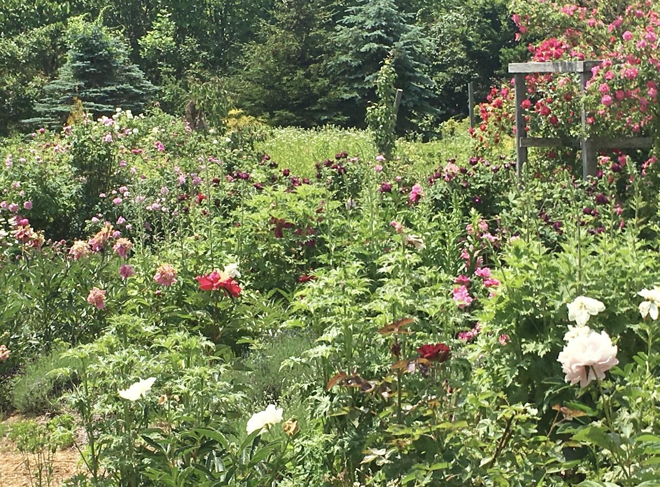 361 Waldoboro Road Friendship ME 04547