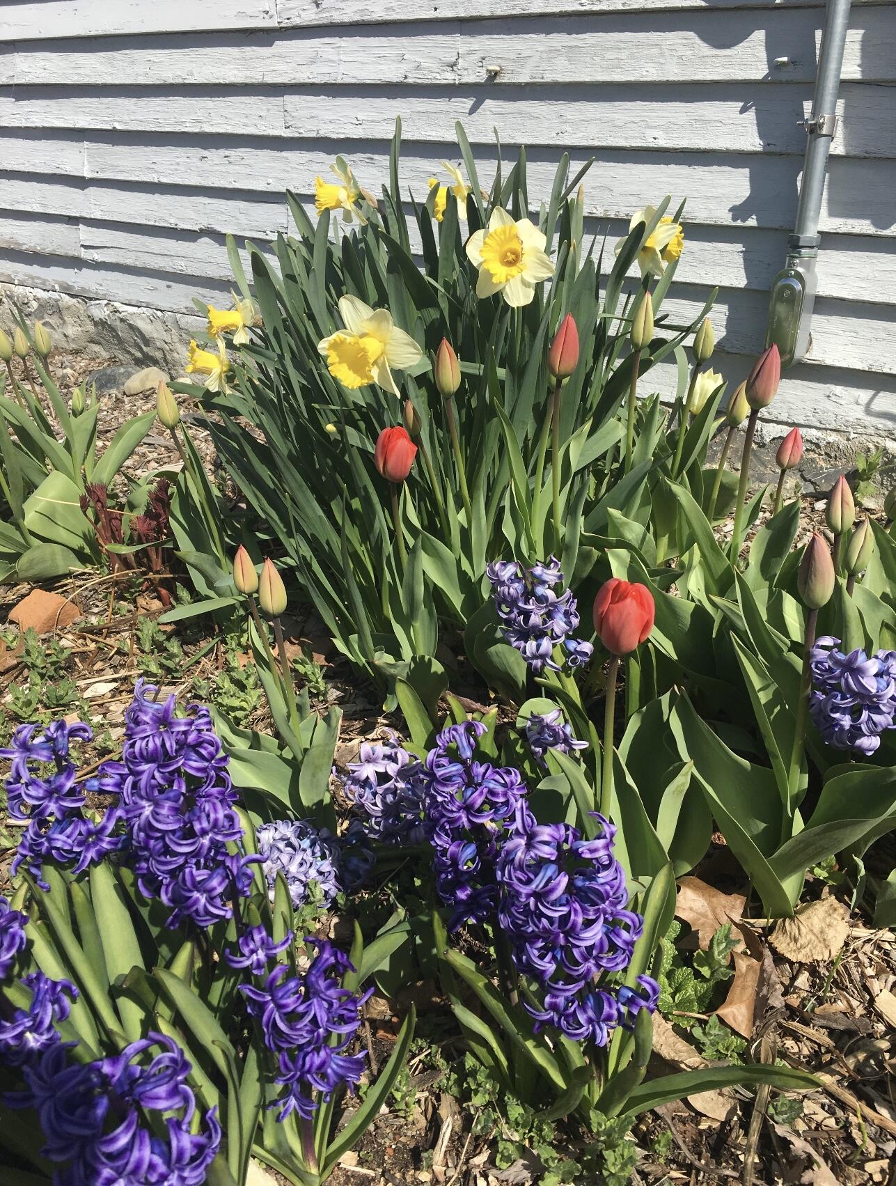 361 Waldoboro Road Friendship ME 04547