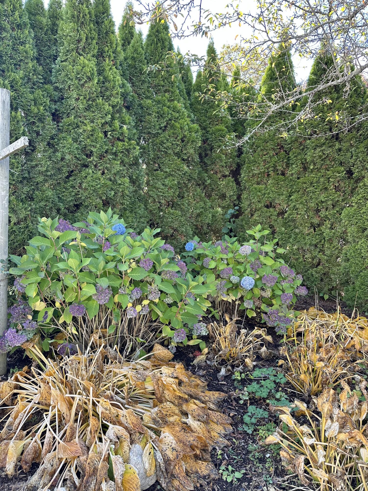 361 Waldoboro Road Friendship ME 04547