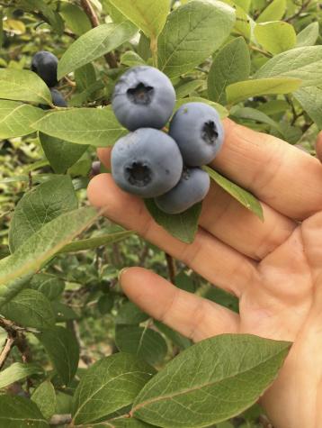 361 Waldoboro Road Friendship ME 04547