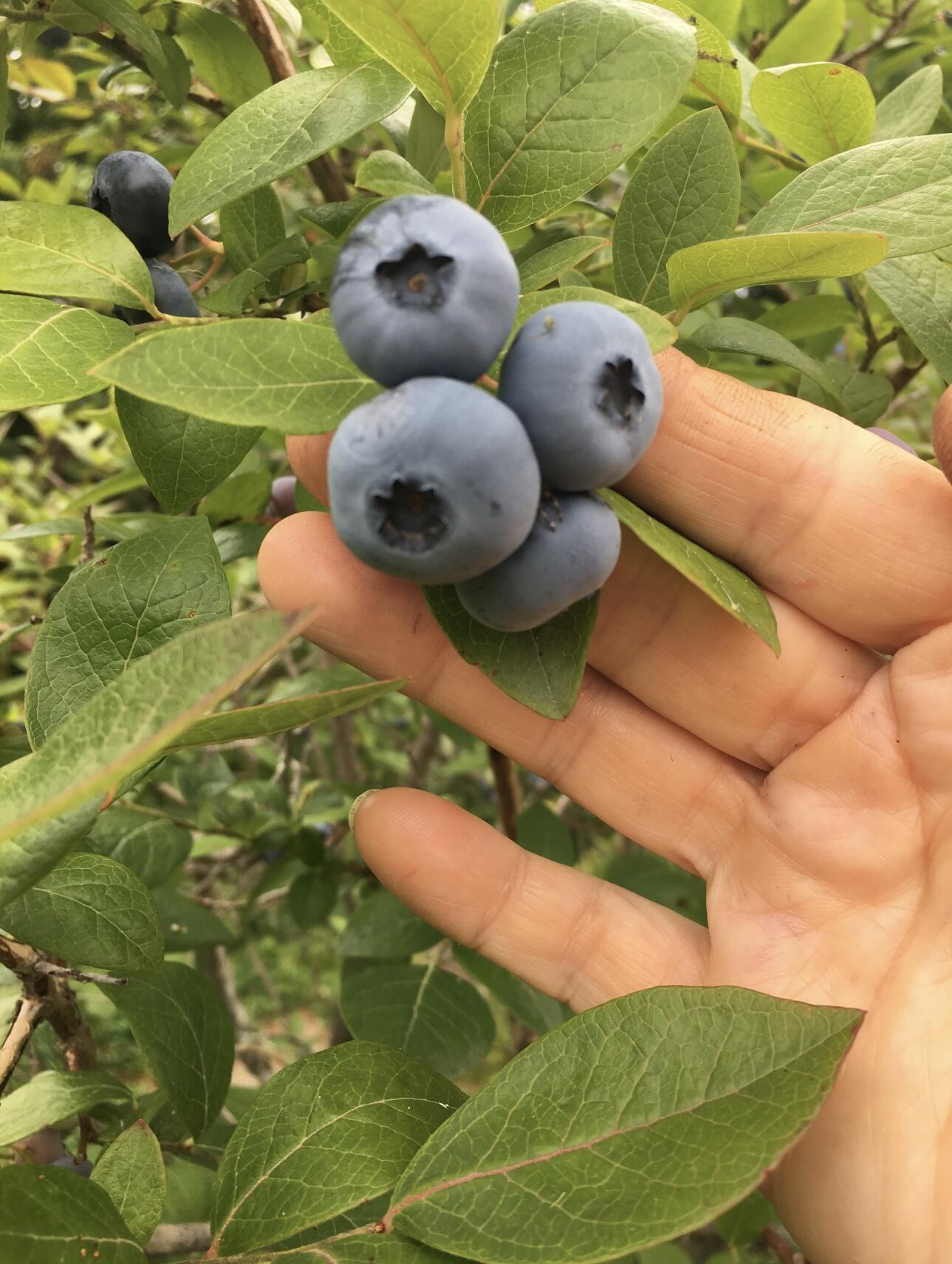 361 Waldoboro Road Friendship ME 04547